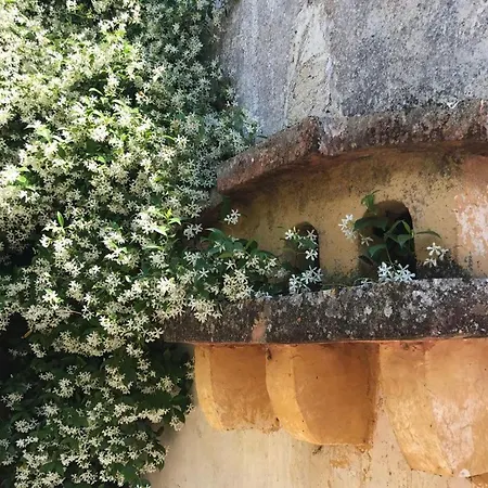 La Fragna Bed & Breakfast Nardo