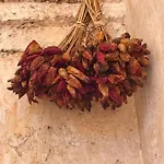Bed & Breakfast La Fragna Nardò