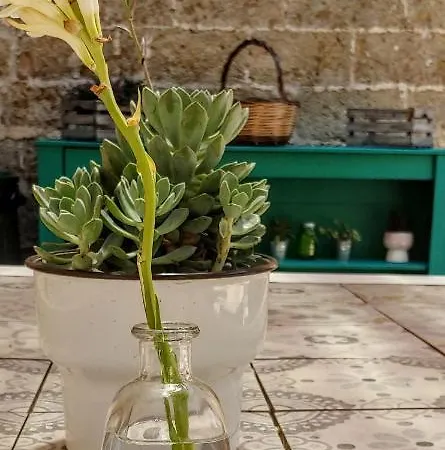 La Fragna Bed & Breakfast 3*