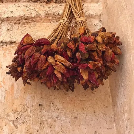 Bed & Breakfast La Fragna Nardo