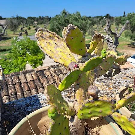 Bed & Breakfast La Fragna