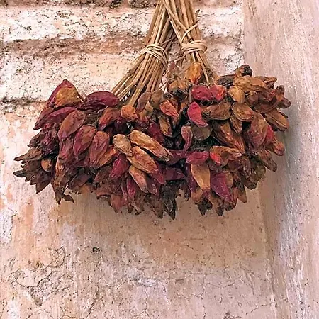 La Fragna Nardò