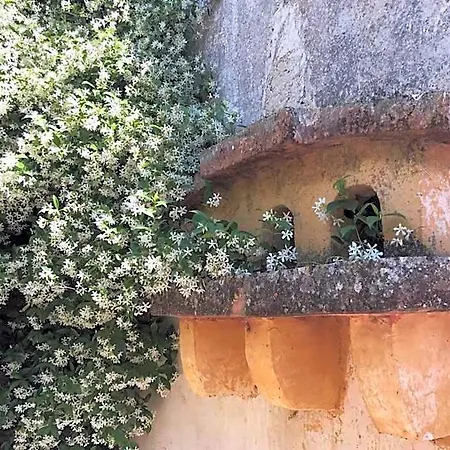 La Fragna 3* Nardò