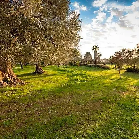 Bed & Breakfast La Fragna Nardò