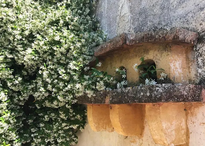 La Fragna Bed & Breakfast Nardò