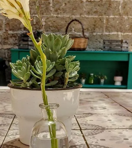 La Fragna Bed & Breakfast 3*