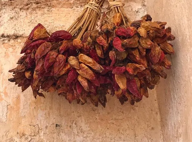 Bed & Breakfast La Fragna Nardò