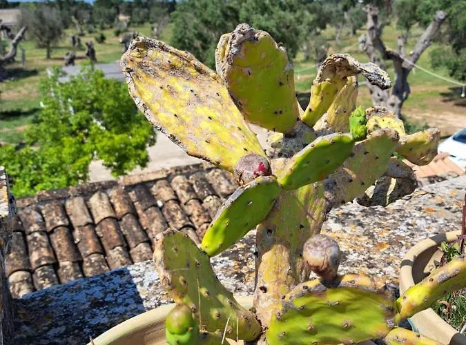 Bed & Breakfast La Fragna